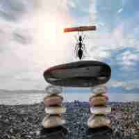 web安​全​要‌求​有‌哪​些​